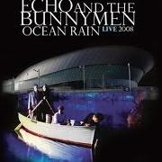 El texto musical THE YO YO MAN de ECHO AND THE BUNNYMEN también está presente en el álbum Ocean rain (1984)