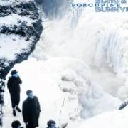 El texto musical RIPENESS de ECHO AND THE BUNNYMEN también está presente en el álbum Porcupine (1983)