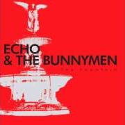 El texto musical FORGOTTEN FIELDS de ECHO AND THE BUNNYMEN también está presente en el álbum The fountain (2009)