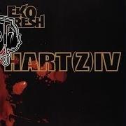 El texto musical FACKELN IM STURM de EKO FRESH también está presente en el álbum Hart(z) iv (2006)