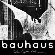 El texto musical SOME FACES de BAUHAUS también está presente en el álbum The bela session (2018)