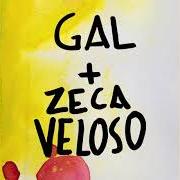 El texto musical NENHUMA DOR (FEAT. ZECA VELOSO) de GAL COSTA también está presente en el álbum Nenhuma dor (2021)