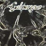 El texto musical FATE OF THE SADNESS de GALNERYUS también está presente en el álbum Advance to the fall (2005)