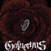 El texto musical WIND OF CHANGE de GALNERYUS también está presente en el álbum Reincarnation (2008)