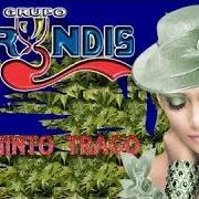El texto musical UNA VIEJA CANCION DE AMOR de GRUPO BRYNDIS también está presente en el álbum El quinto trago (2004)