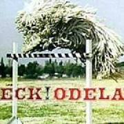 El texto musical HIGH 5! (ROCK THE CATSKILLS) de BECK también está presente en el álbum Odelay (1996)