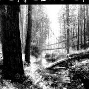 El texto musical THE DARK FOREST (CAST ME YOUR SPELL) de BEHEMOTH también está presente en el álbum Chaotica - the essence of the underworld (1998)