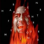 El texto musical FIGHT FOR YOUR MIND de BEN HARPER también está presente en el álbum Fight for your mind (1995)