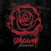 El texto musical LEFT RIGHT de SHAWN STOCKMAN también está presente en el álbum Foreword (2020)
