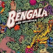 El texto musical ASÍ NOS VA de BENGALA también está presente en el álbum Año selvático (2017)