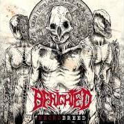El texto musical MASS GRAVE de BENIGHTED también está presente en el álbum Necrobreed (2017)