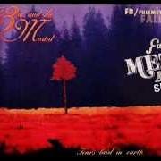El texto musical IN MIST SHROUDED de THE 3RD AND THE MORTAL también está presente en el álbum Tears laid to the earth (1994)