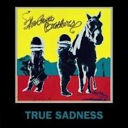 El texto musical SATAN PULLS THE STRINGS de THE AVETT BROTHERS también está presente en el álbum True sadness (2016)