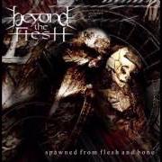 El texto musical SACRED SERENITY de BEYOND THE FLESH también está presente en el álbum Spawned from flesh and bone (2001)