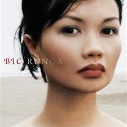 El texto musical HONEST GOODBYES de BIC RUNGA también está presente en el álbum Beautiful collision (2002)