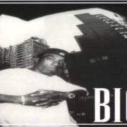 El texto musical WHO YOU SLIDIN' WITH de BIG L también está presente en el álbum The archives 1996-2000 (2006)