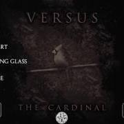 El texto musical SHOOK de VERSUS también está presente en el álbum The cardinal (2017)