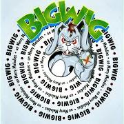El texto musical THE GIRL IN THE GREEN JACKET de BIGWIG también está presente en el álbum Unmerry melodies (1997)