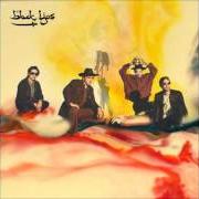 El texto musical SPIDEY'S CURSE de BLACK LIPS también está presente en el álbum Arabia mountain (2011)