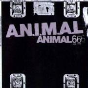 El texto musical RAZA CASTIGADA de A.N.I.M.A.L. también está presente en el álbum Animal 6 (2001)