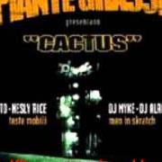 El texto musical A COSA TENGO DI PIÙ de PIANTE GRASSE también está presente en el álbum Cactus