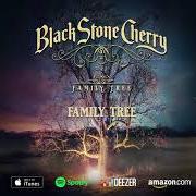 El texto musical GET ME OVER YOU de BLACK STONE CHERRY también está presente en el álbum Family tree (2018)