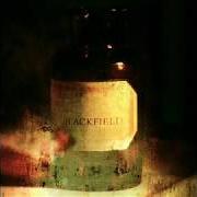 El texto musical A DROP IN THE OCEAN de BLACKFIELD también está presente en el álbum Blackfield v (2017)
