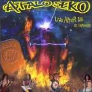 El texto musical A PALO SEKO de A PALO SEKO también está presente en el álbum Live after disco homenaje (2007)
