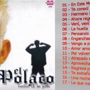 El texto musical POR VOLVERTE A VER de EL POLACO también está presente en el álbum Vuelve te lo pido (2006)