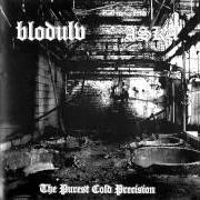 El texto musical STANK de BLODULV también está presente en el álbum The purest cold precision (2004)