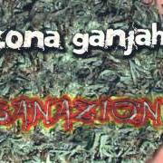 El texto musical DE LA TIERRA CRECE de ZONA GANJAH también está presente en el álbum Sanazion (2007)