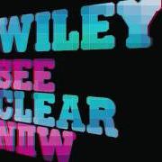 El texto musical CANT STOP THINKING de WILEY también está presente en el álbum See clear now (2008)