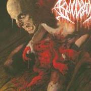 El texto musical FEEDING THE UNDEAD de BLOODBATH también está presente en el álbum Nightmares made flesh (2004)