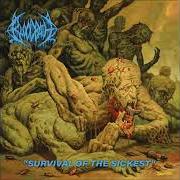 El texto musical DEAD PARADE de BLOODBATH también está presente en el álbum Survival of the sickest (2022)
