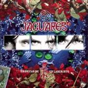 El texto musical UN MAL SUEÑO de JAGUARES también está presente en el álbum 45 (2008)