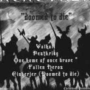 El texto musical EINHERJER (DOOMED TO DIE) de NACHTFALKE también está presente en el álbum Doomed to die (2002)