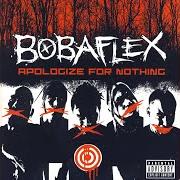 El texto musical DON'T LIE DOWN WITH DOGS de BOBAFLEX también está presente en el álbum Apologize for nothing (2005)