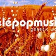 El texto musical SWAMP de TELEPOPMUSIK también está presente en el álbum Angel milk (2005)