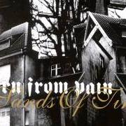 El texto musical IRON WILL de BORN FROM PAIN también está presente en el álbum War (2006)