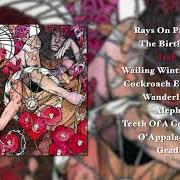 El texto musical OGEECHEE HYMNAL de BARONESS también está presente en el álbum Blue record (2009)
