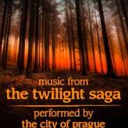 El texto musical DONE ALL WRONG - BLACK REBEL MOTORCYCLE CLUB de THE TWILIGHT SAGA también está presente en el álbum The twilight saga: new moon (2009)