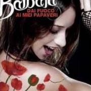 El texto musical CREDERE de BARBARA MONTE también está presente en el álbum Dai fuoco ai miei papaveri (2008)
