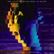 El texto musical SO TRUE de THE PAINS OF BEING PURE AT HEART también está presente en el álbum The echo of pleasure (2017)