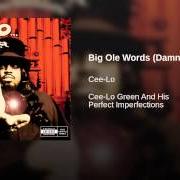 El texto musical BIG OLE WORDS (DAMN) de CEE LO GREEN también está presente en el álbum And his perfect imperfections