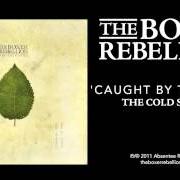 El texto musical NO HARM de THE BOXER REBELLION también está presente en el álbum The cold still (2011)