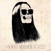 El texto musical CHANGE YOUR LIFE (ELECTRO REMIX) de FAR EAST MOVEMENT también está presente en el álbum Grzzly (2013)