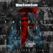 El texto musical YOUNG MONEY / BRICKSQUAD de WAKA FLOCKA FLAME también está presente en el álbum Flockaveli (2010)