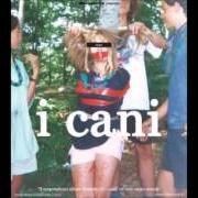 El texto musical VELLEITÀ de I CANI también está presente en el álbum Il sorprendente album d'esordio dei cani (2011)