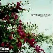 El texto musical DAMN DOG de NEVER SHOUT NEVER también está presente en el álbum What is love? (2010)