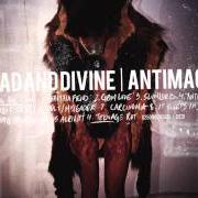 El texto musical IT SLEEPS IN BLISS de DEAD AND DIVINE también está presente en el álbum Antimacy (2011)